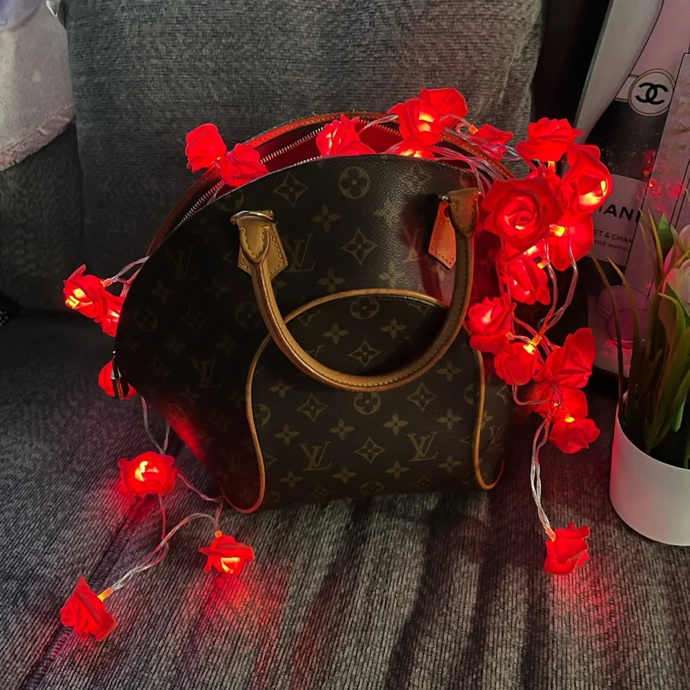 Louis Vuitton Brown and Tan Monogram Bag, Ellipse MM - Picture 8 of 11